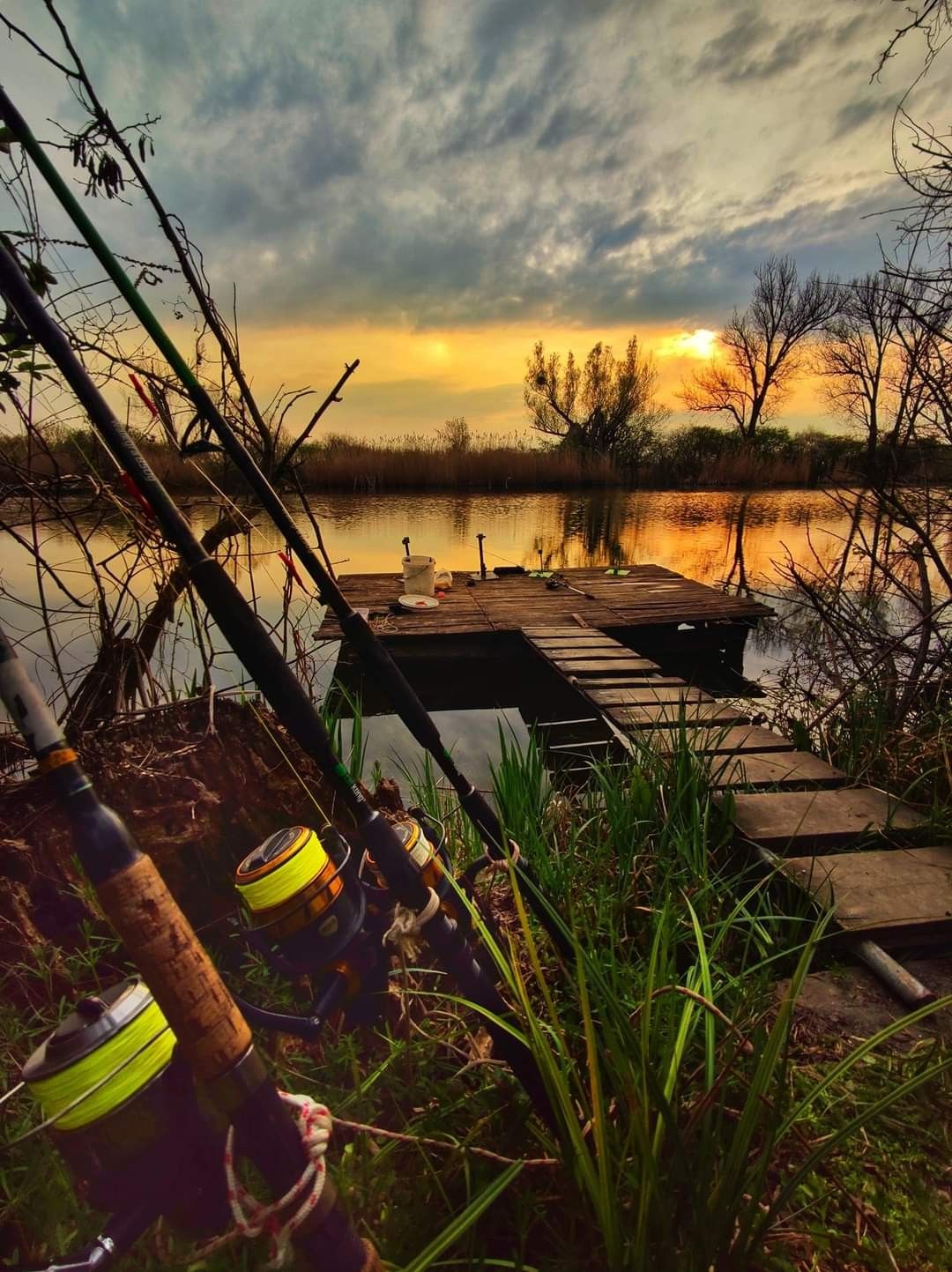 Платная рыбалка